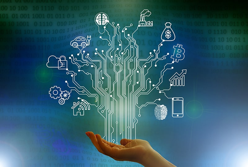 Cara Membangun Otoritas Domain untuk Menghadapi Persaingan Digital 2026