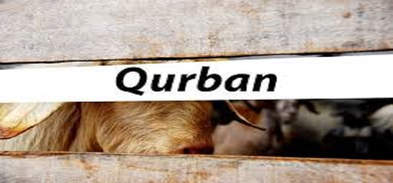 Hikmah Qurban Idul Adha, Salah Satunya Sarana Bersedekah