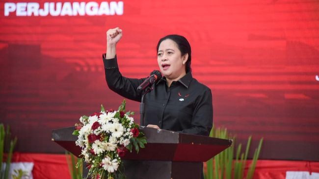 Mengenal Profil Puan Maharani: Wakil Rakyat Jateng V yang Menyatukan Tradisi dan Modernitas