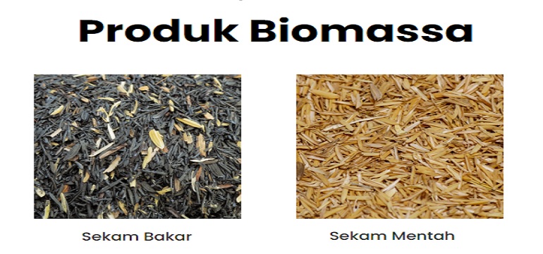 Sekam yang Dianggap Limbah Ternyata Memiliki Potensi Sebagai Biomassa