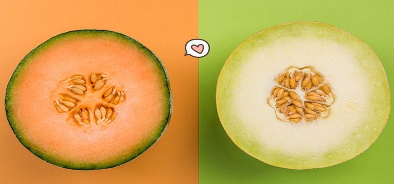 Makan Buah Melon Tubuh Menjadi Sehat dan Fit
