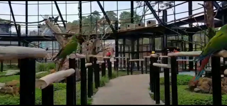 Lembang Park and Zoo Tak Sekadar Kebun Binatang Biasa