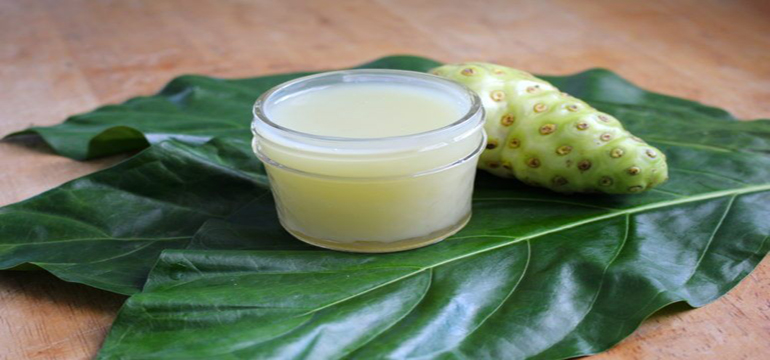 Jus Mengkudu, Obat Herbal Gagal Ginjal Yang Paling Ampuh
