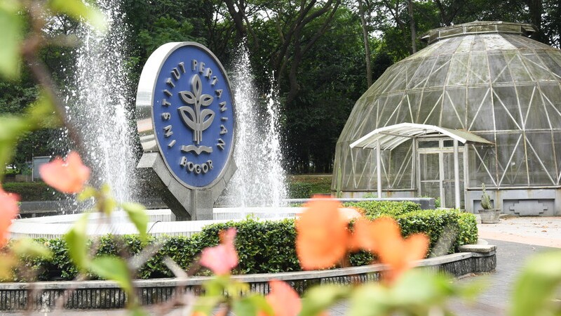 Bagaimana Cara Membaca Hasil Seleksi IPB dengan Benar?
