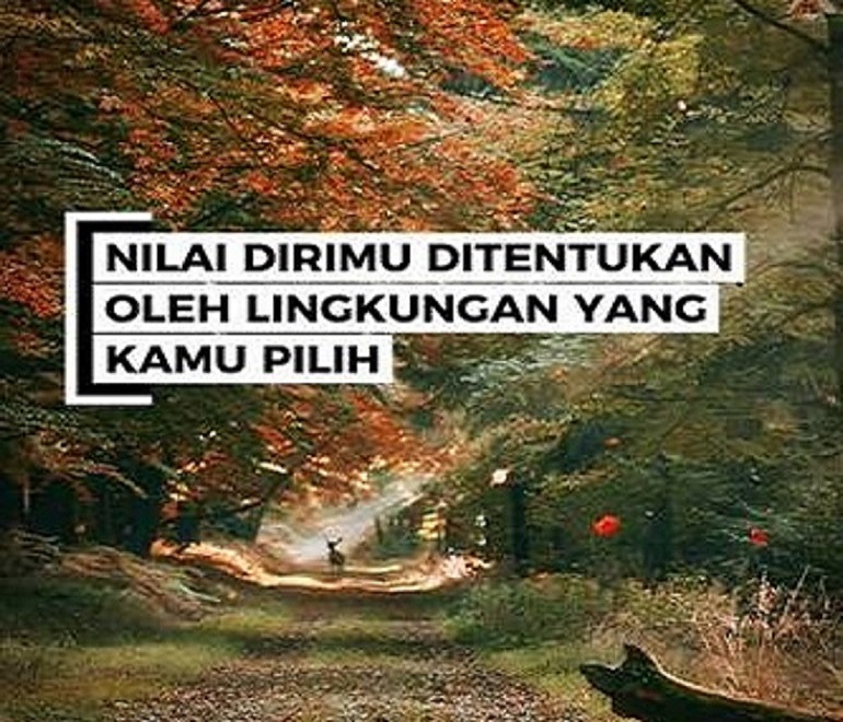 Sebaik Apapun Dirimu Jika Kamu Berada di Tempat yang Salah, Kau Tak Akan Pernah Terlihat Berguna